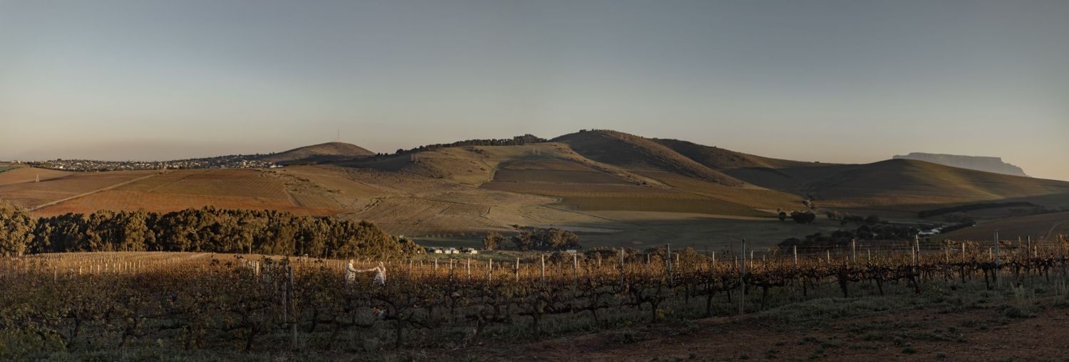 Panoramic view of rolling hills and valleys with scattered trees against a dusky sky in a rural landscape.