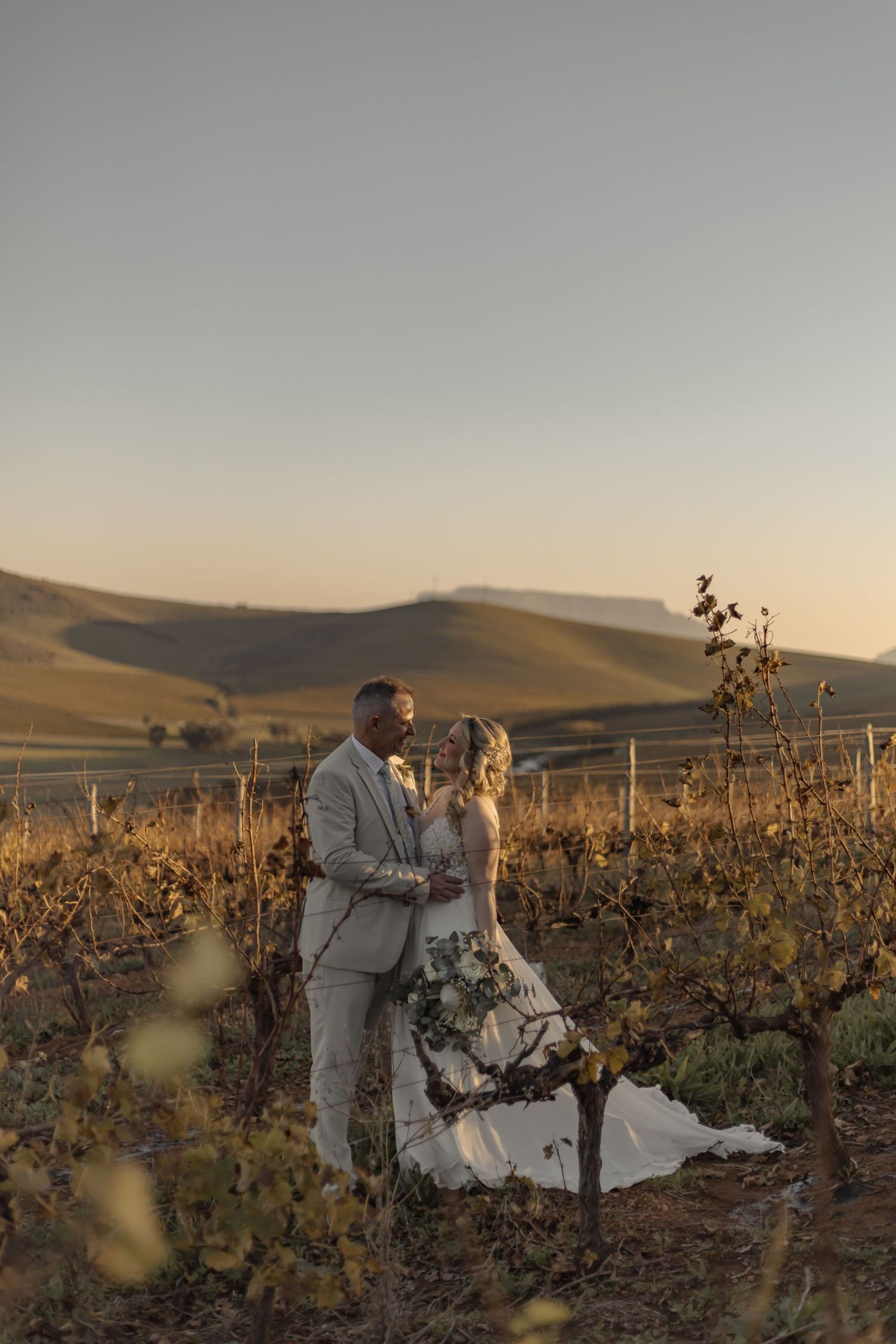 A couple shares an intimate moment in golden light among vineyard rows against a backdrop of rolling hills at sunset.