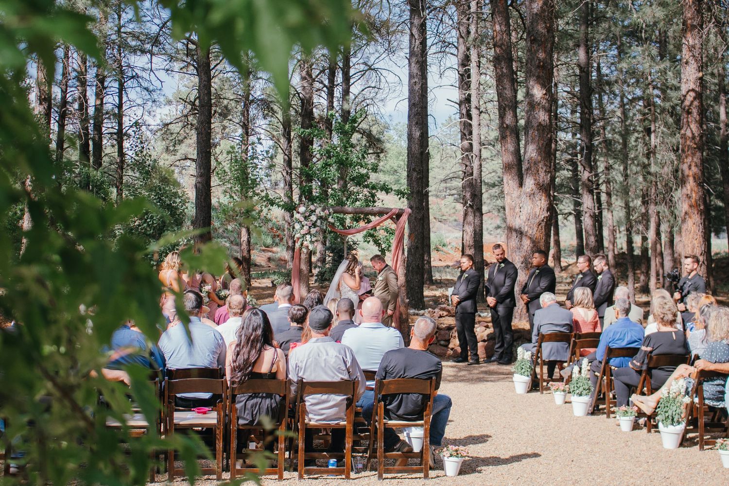 An outdoor wedding ceremony takes place in a serene pine forest setting with wooden chairs arranged in rows.