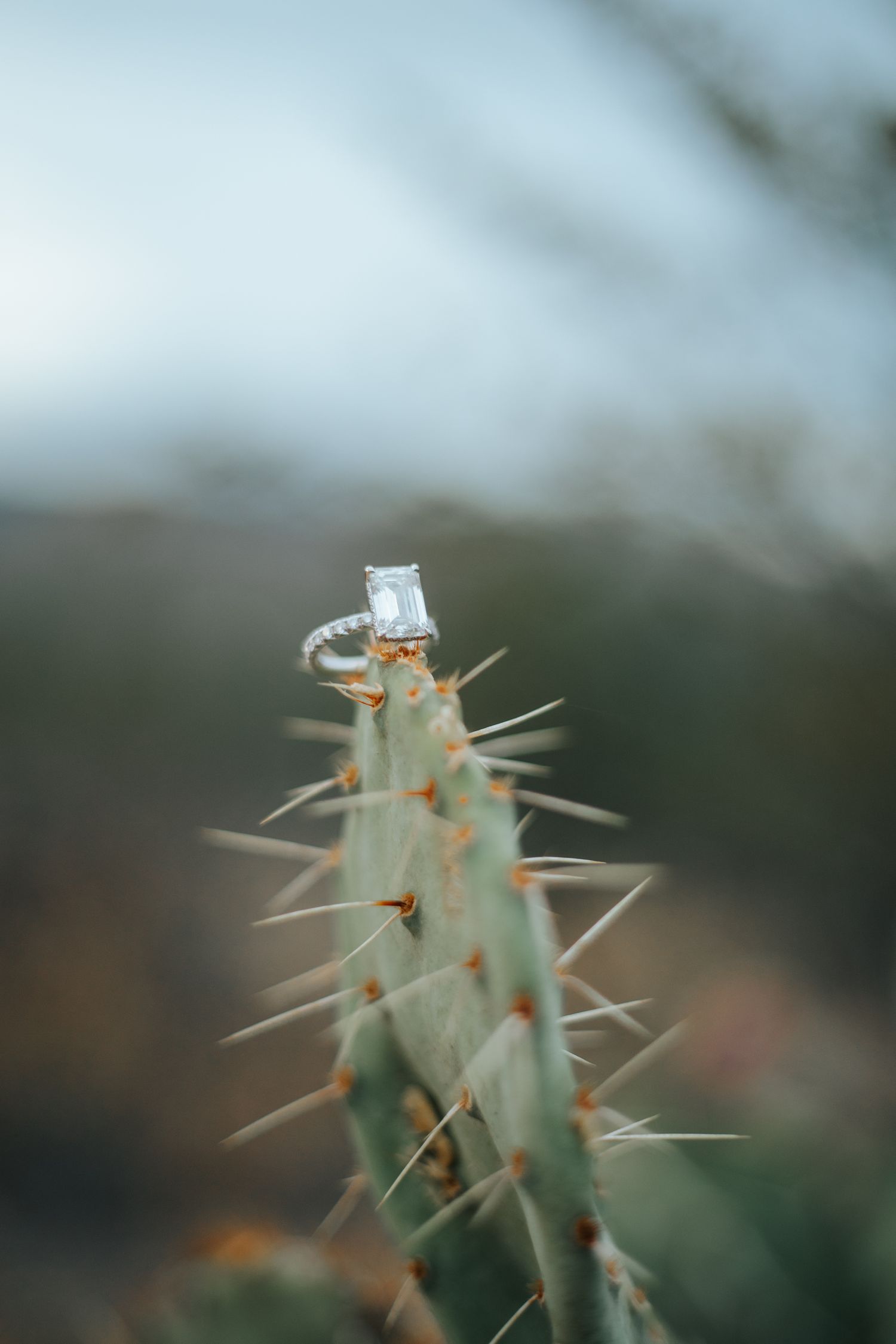Engagement ring and desert vibes