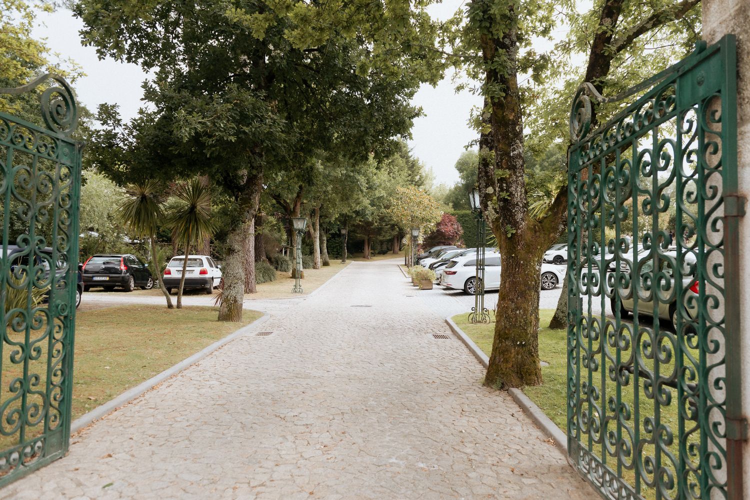 Panoramic view of a tree-lined path with ornate green metal gates and white railings in a park setting.