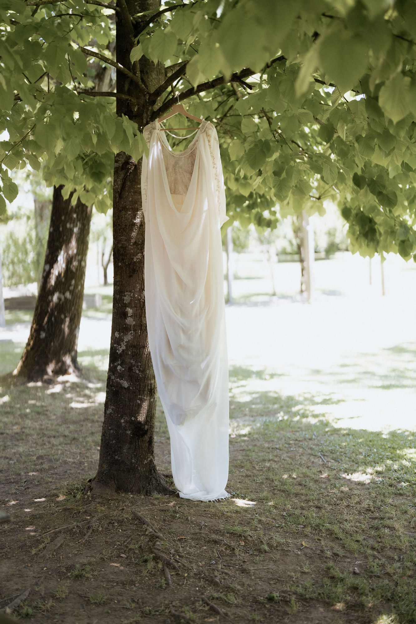 A white wedding dress hangs elegantly from a tree branch in a dreamy outdoor setting with dappled sunlight.