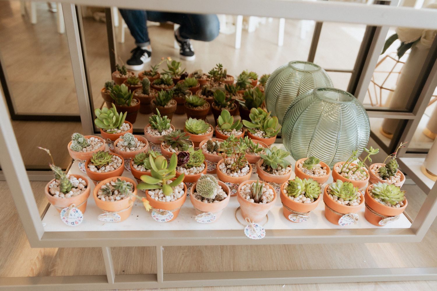 Small terracotta pots filled with pink-topped succulents arranged on a white display table with decorative pumpkins.