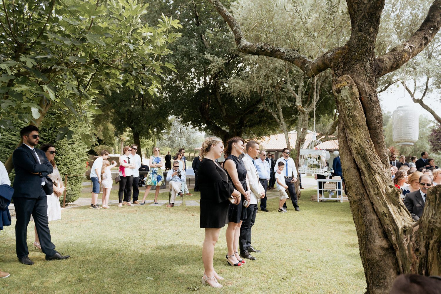 A group of people gathered outdoors under large trees at a social event on a grassy lawn area.