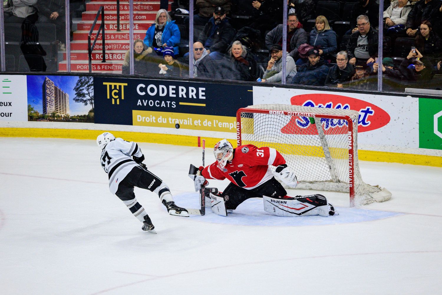 Mapei - Olympiques de Gatineau