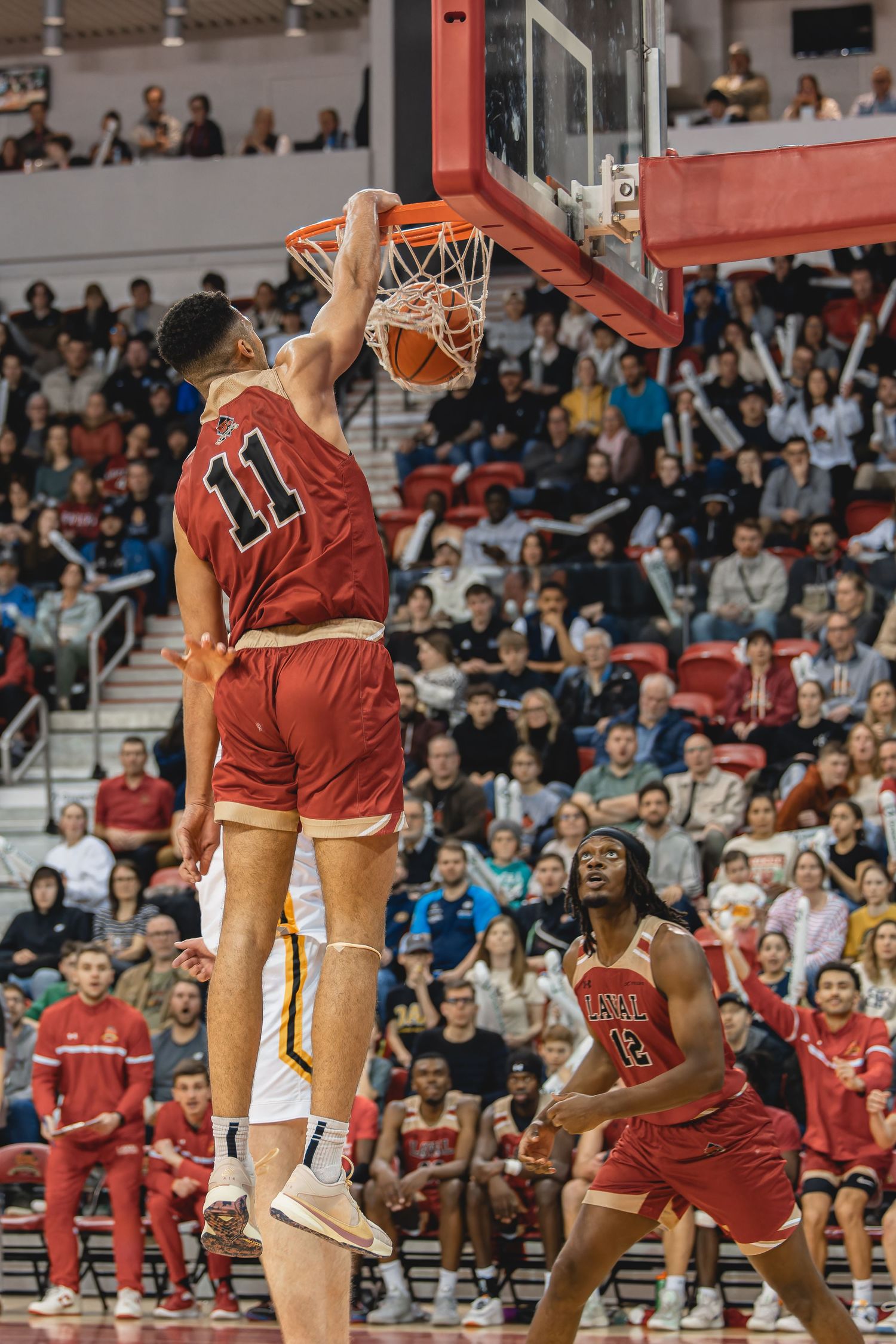 Rouge & Or - Basketball