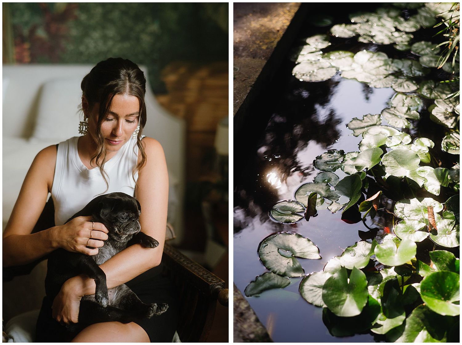 A split view showing someone holding a black cat and a peaceful garden pond with white water lilies.