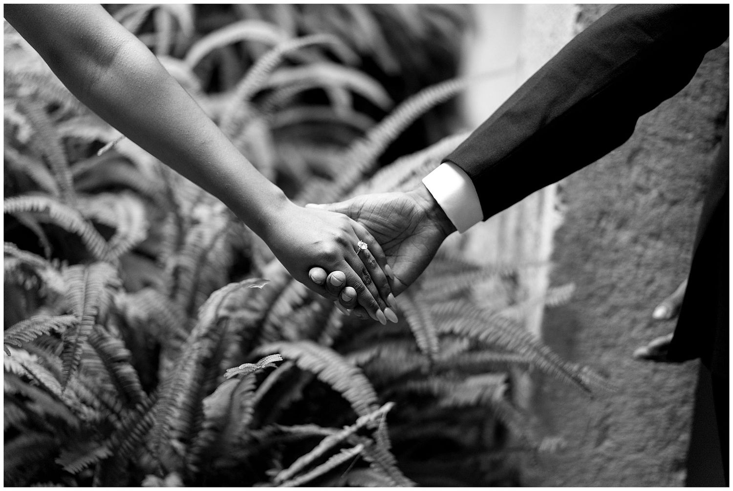 Two hands wearing wedding rings touch gently among garden ferns in a black and white photograph.