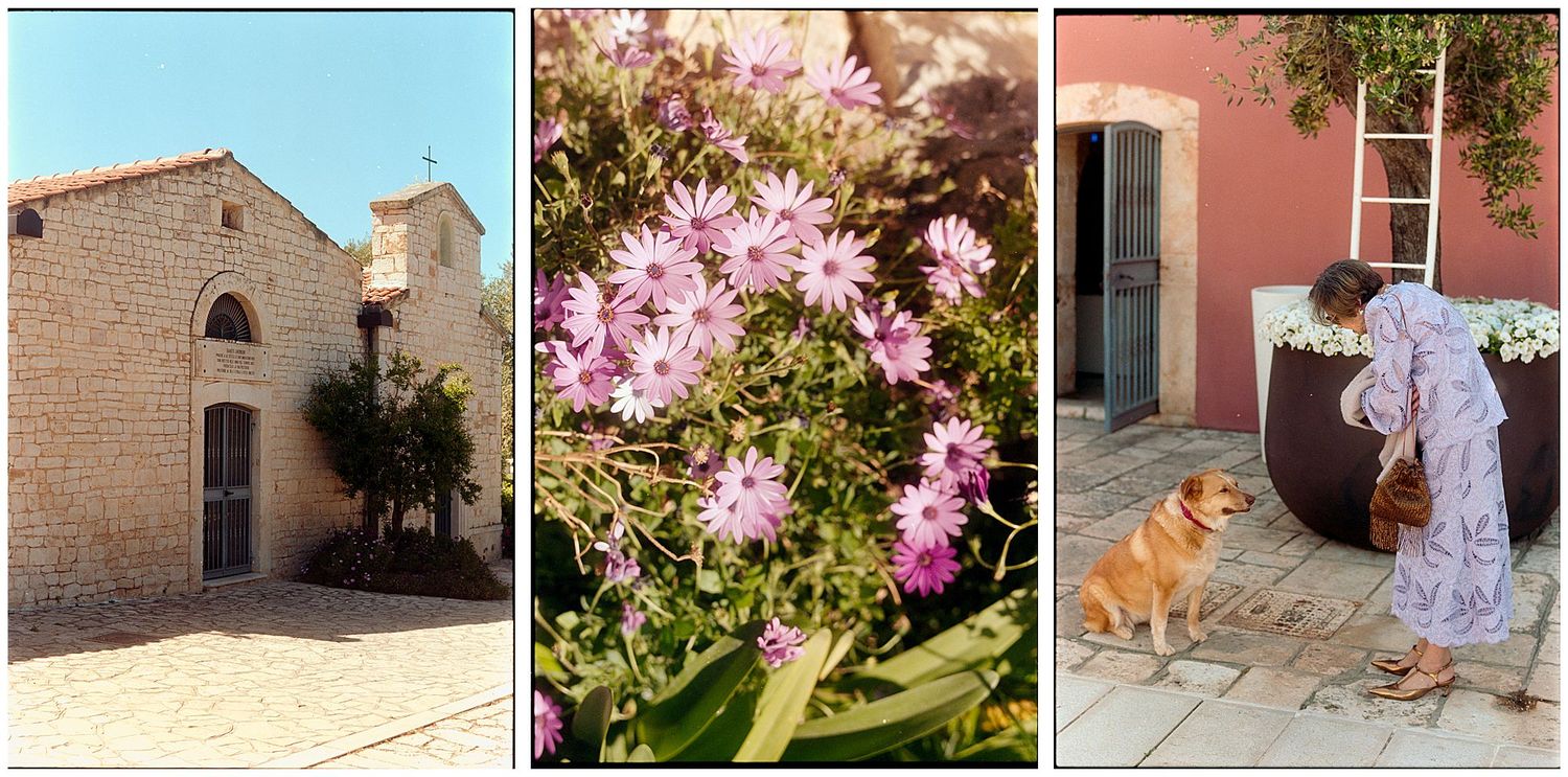 A collage showing a Spanish mission-style church, pink flowering plants, and a ginger cat sitting near a doorway.