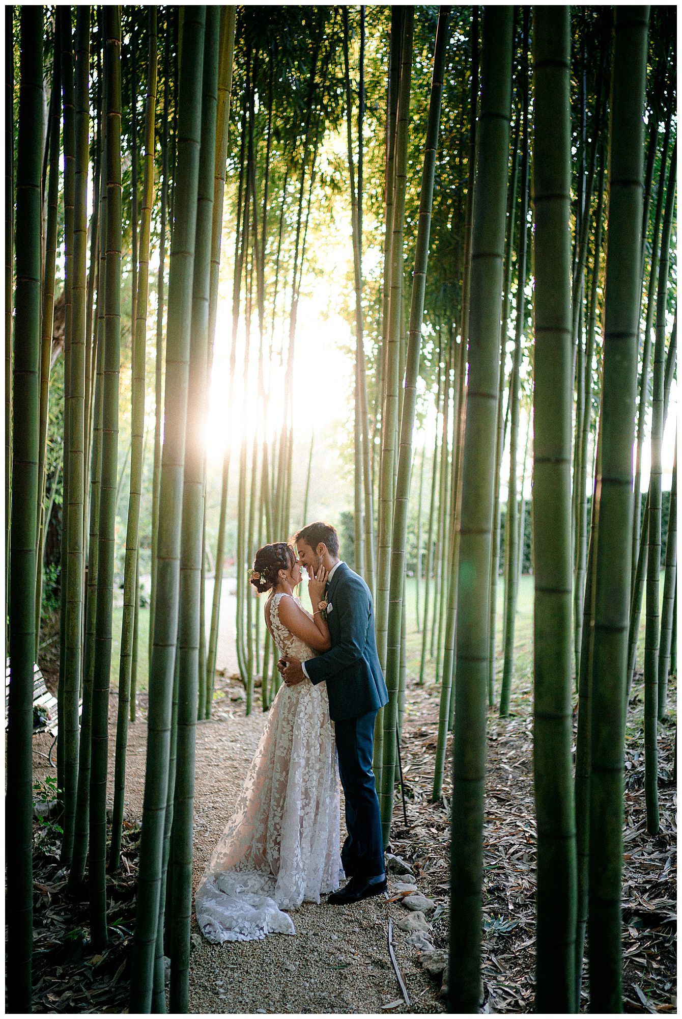 Sunlit bamboo forest creates magical backdrop for wedding couple in intimate moment.