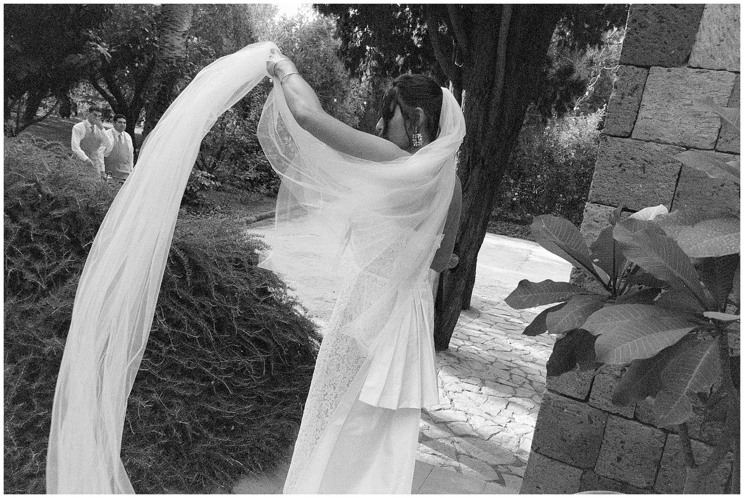 A flowing white wedding dress veil billows gracefully in the breeze against a garden wall background.