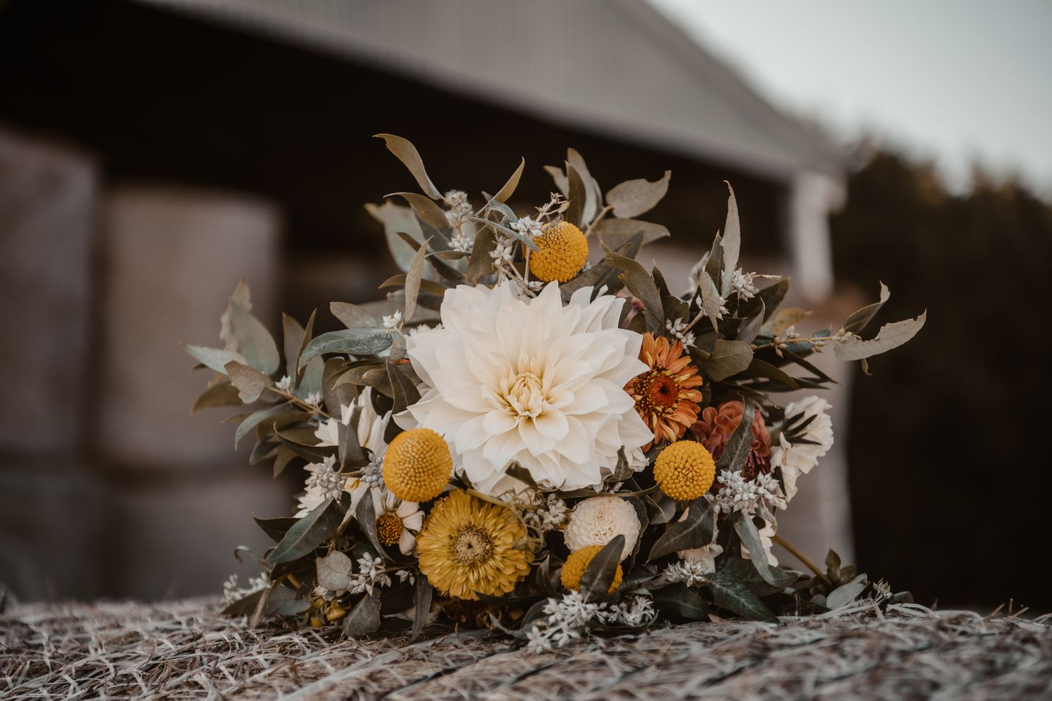 Paige Gray Photography