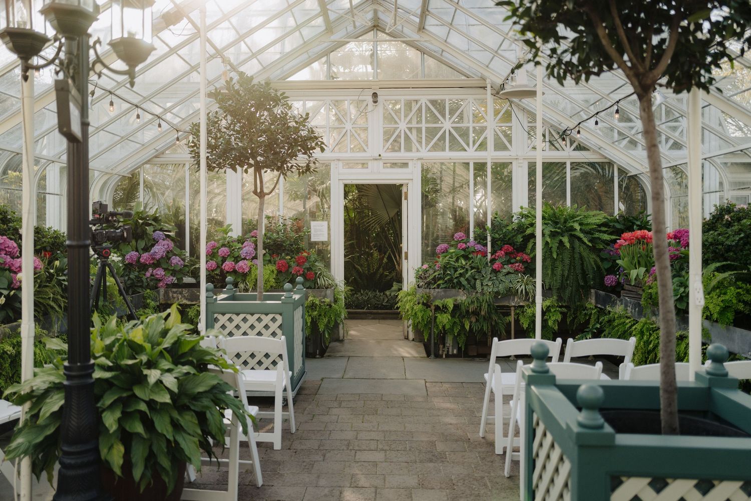 Interior of elegant greenhouse wedding venue with rows of white chairs and lush plants.