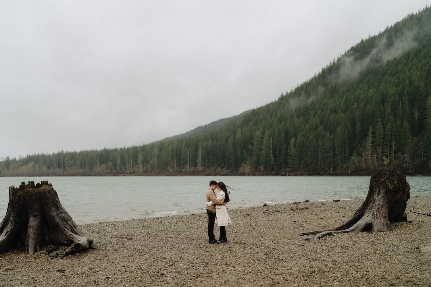 Two figures embrace on a misty beach with evergreen forest and lake, framed by large tree stumps on a cloudy day.