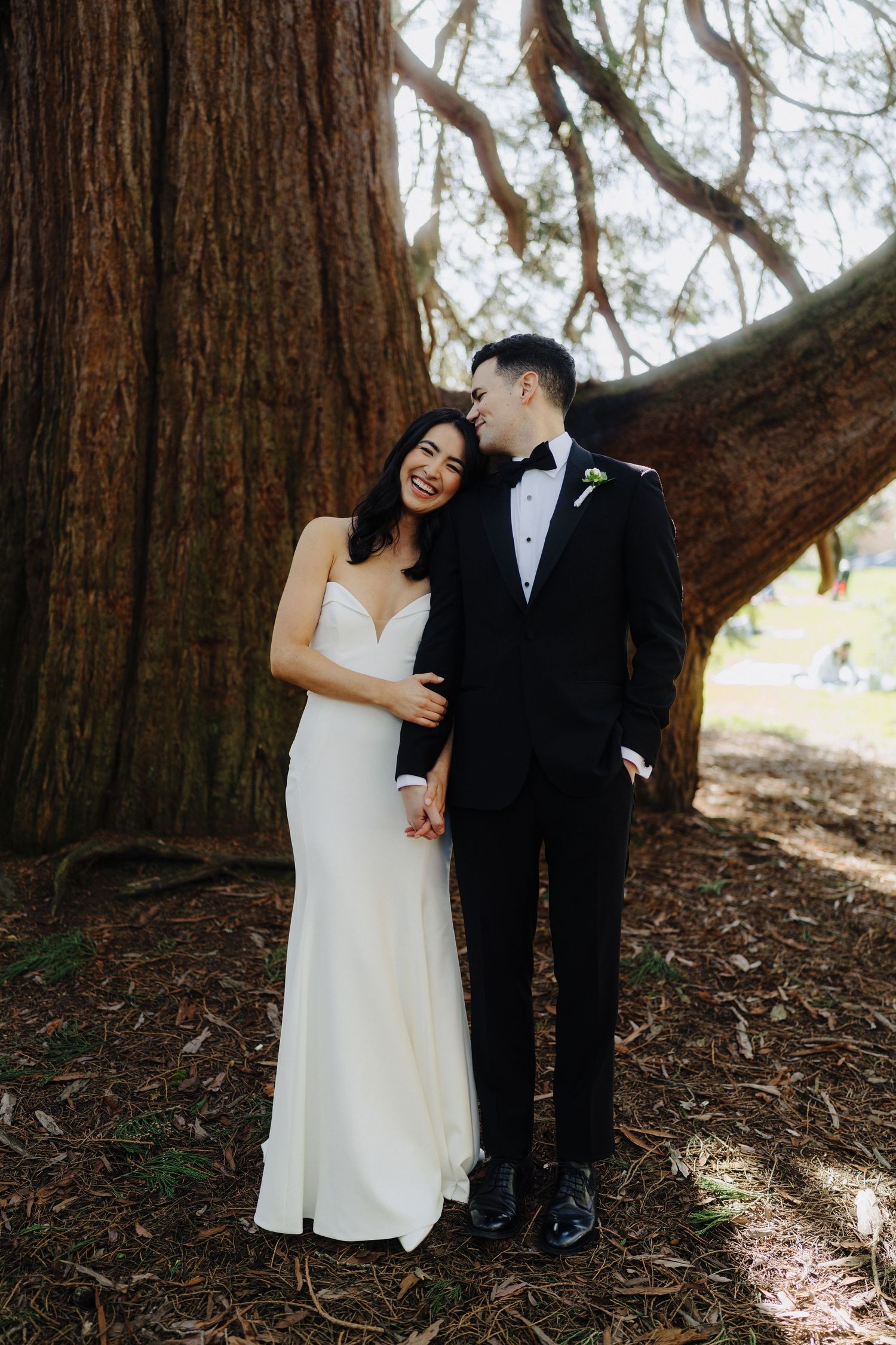 A wedding couple smiles together while standing beneath a towering redwood tree.