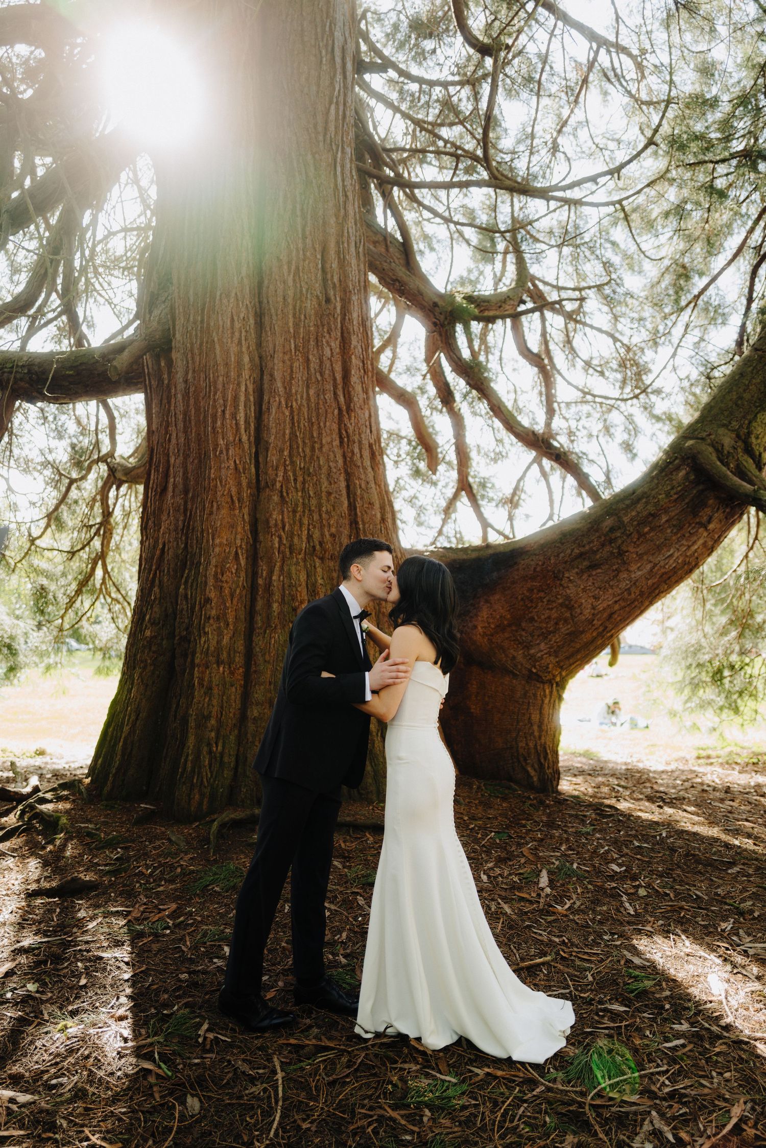 A couple embracing in front of a majestic redwood tree during their wedding photoshoot.