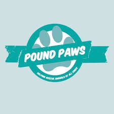Five aqua green banner designs with text for Pound Paws featuring their logo and branding elements.