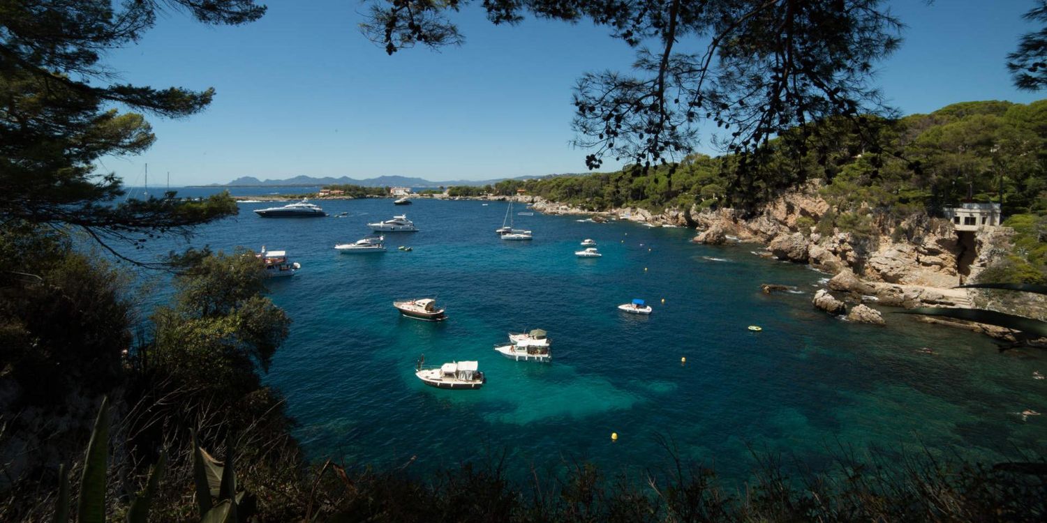 Luxury yachts anchored in turquoise Mediterranean cove with pine trees framing crystal clear waters in Mallorca, Spain.