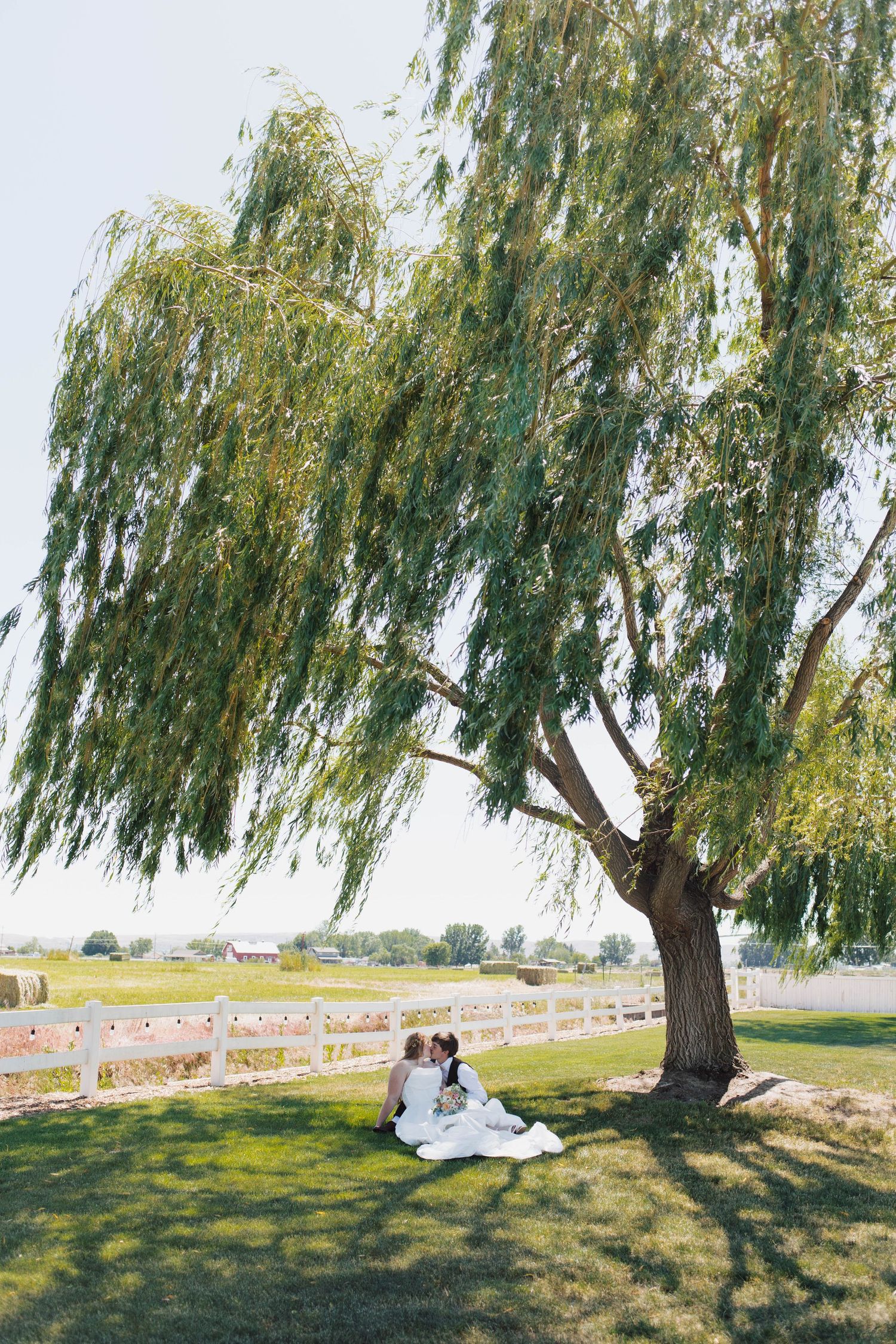 Two people sit together under a sweeping willow tree on a sunny day at a countryside wedding venue.