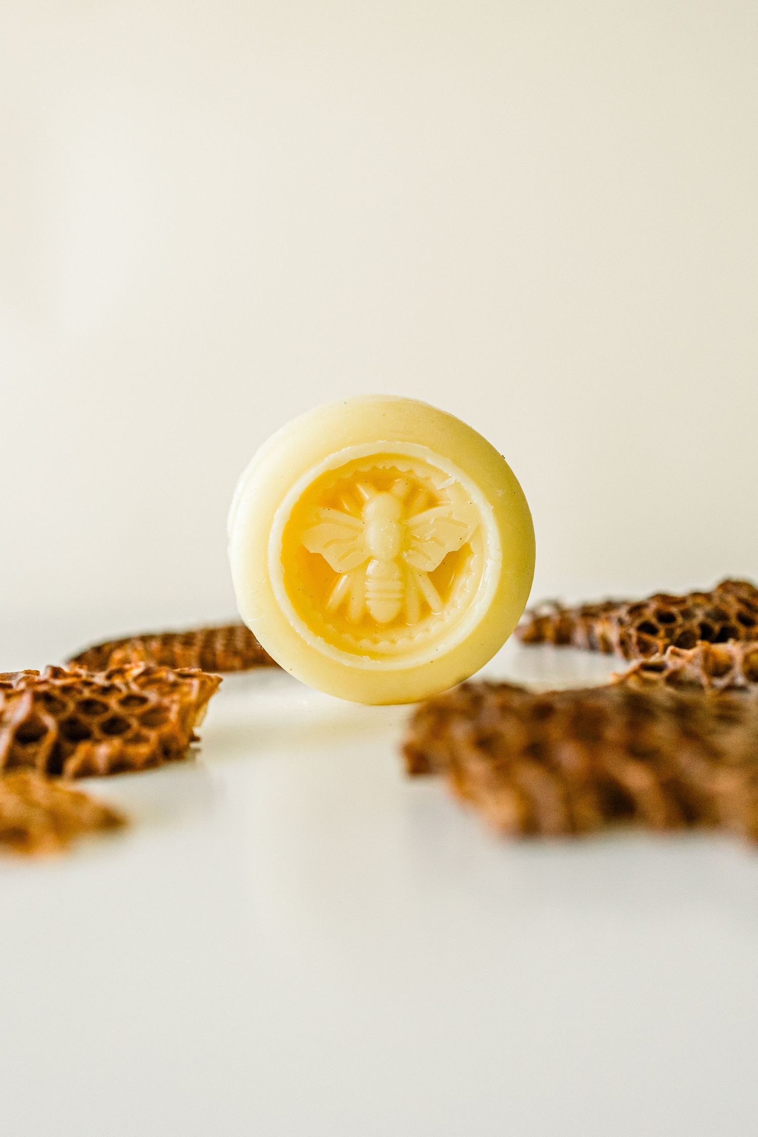 A handmade circular soap bar with citrus design sits on dried pine cones against a white background.