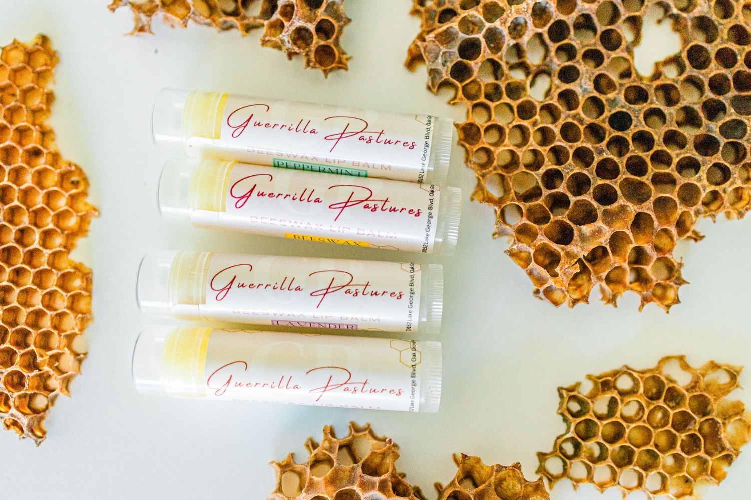 Natural honeycomb patterns with rows of lip balm products labeled 'Pinedale Potions' on a white background.