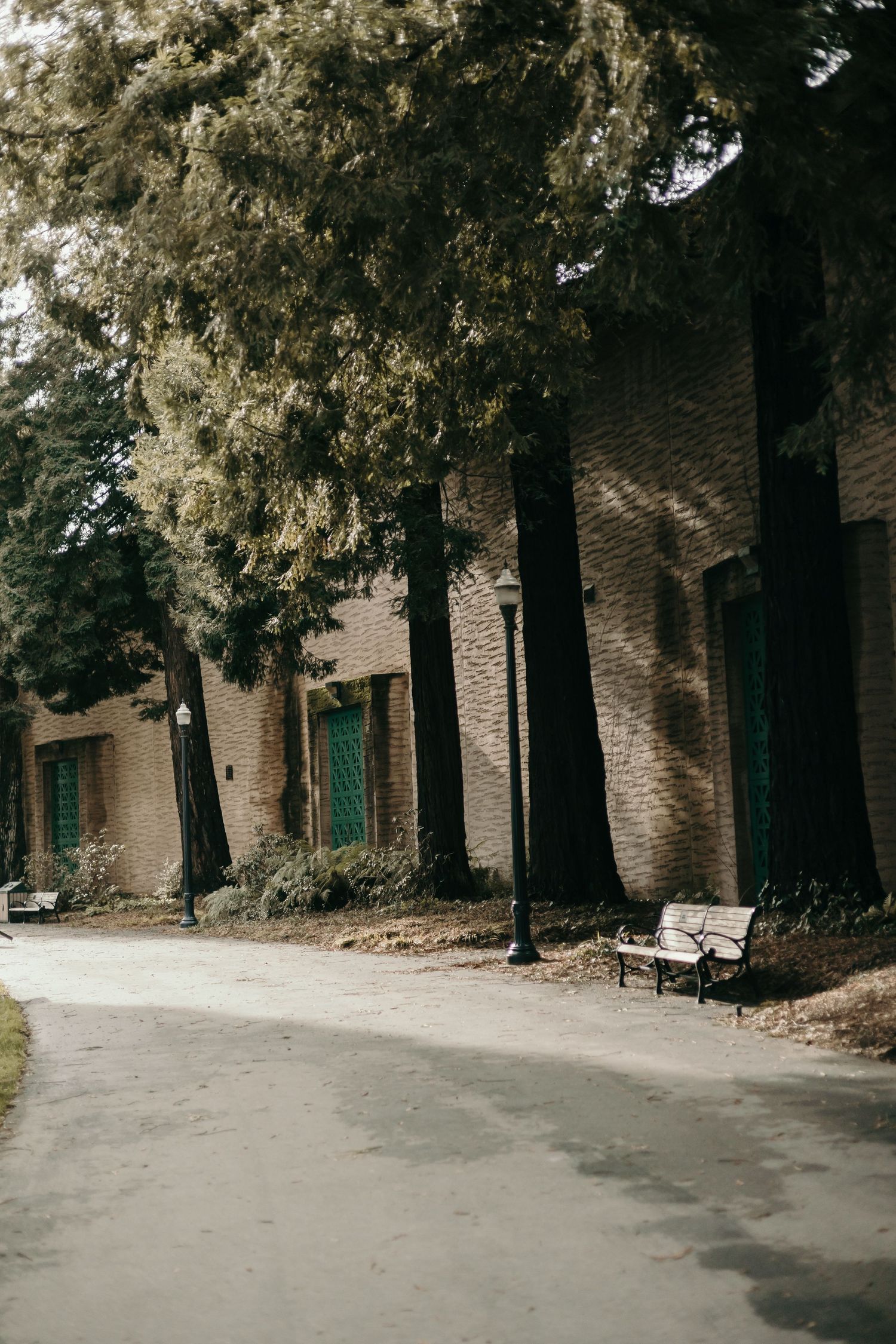 A curved path lined with tall trees leads to a brick building with green doors and empty benches along the way.