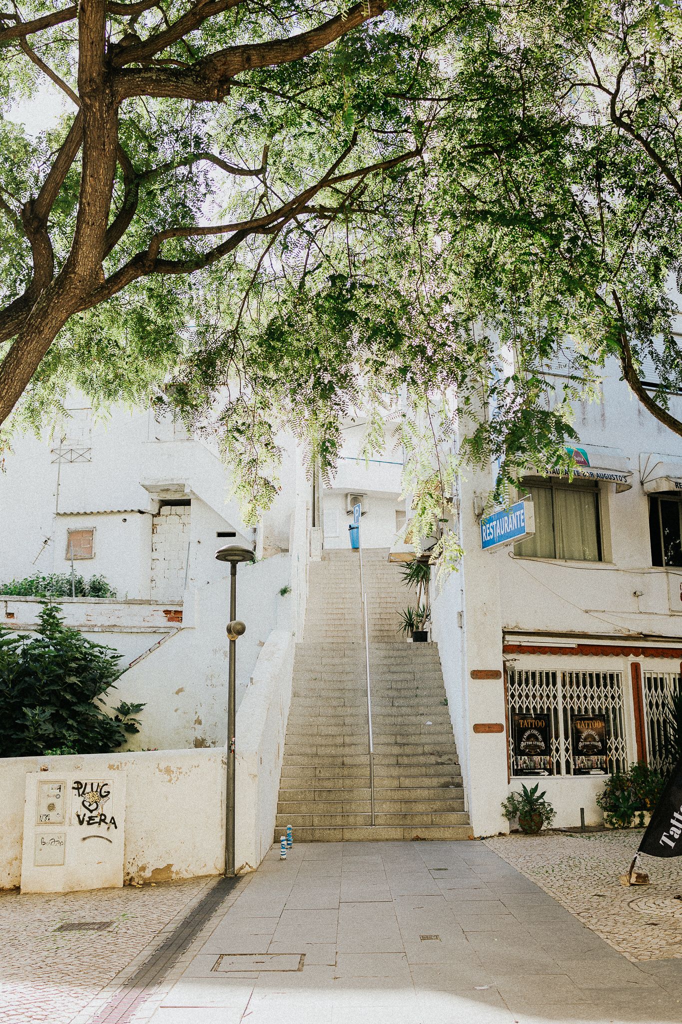 A steep stairway between white buildings shaded by large overhanging trees in a Mediterranean neighborhood.