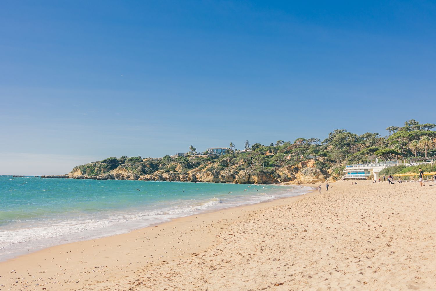 Beautiful sandy beach with turquoise waters and coastal cliffs under clear blue skies in a secluded bay.