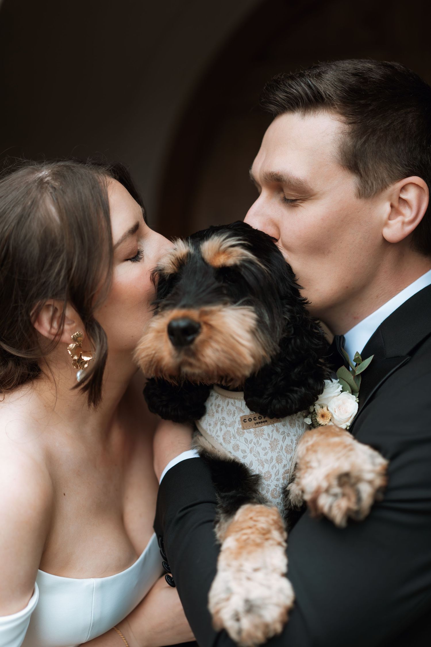 Newlyweds sharing a romantic kiss while holding their small dog.