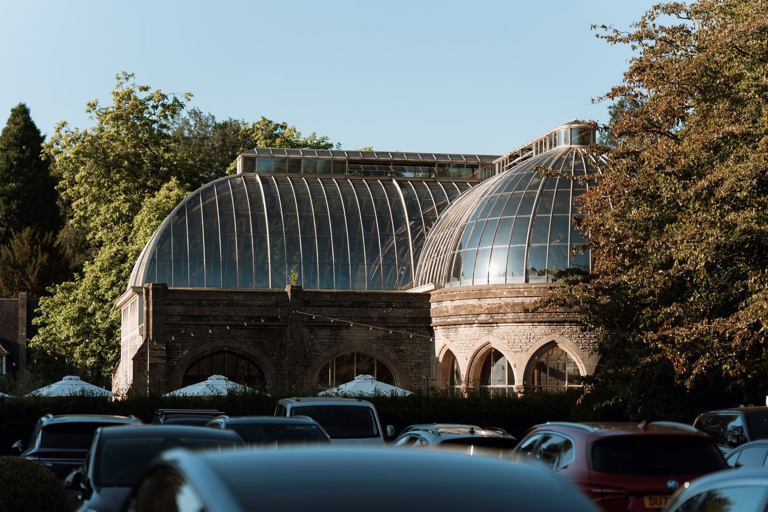 Curved glass greenhouse roof structure in sunlight with autumn trees casting shadows and blue umbrellas visible.