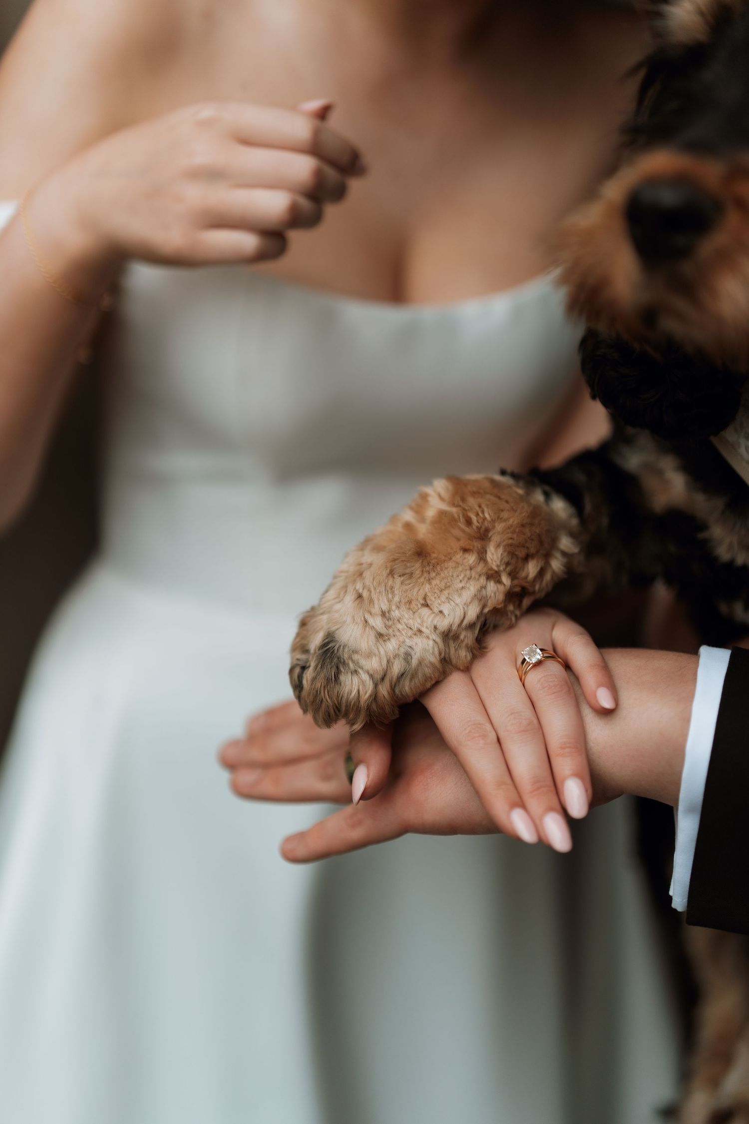 Close-up of hands showing wedding rings in an intimate moment.
