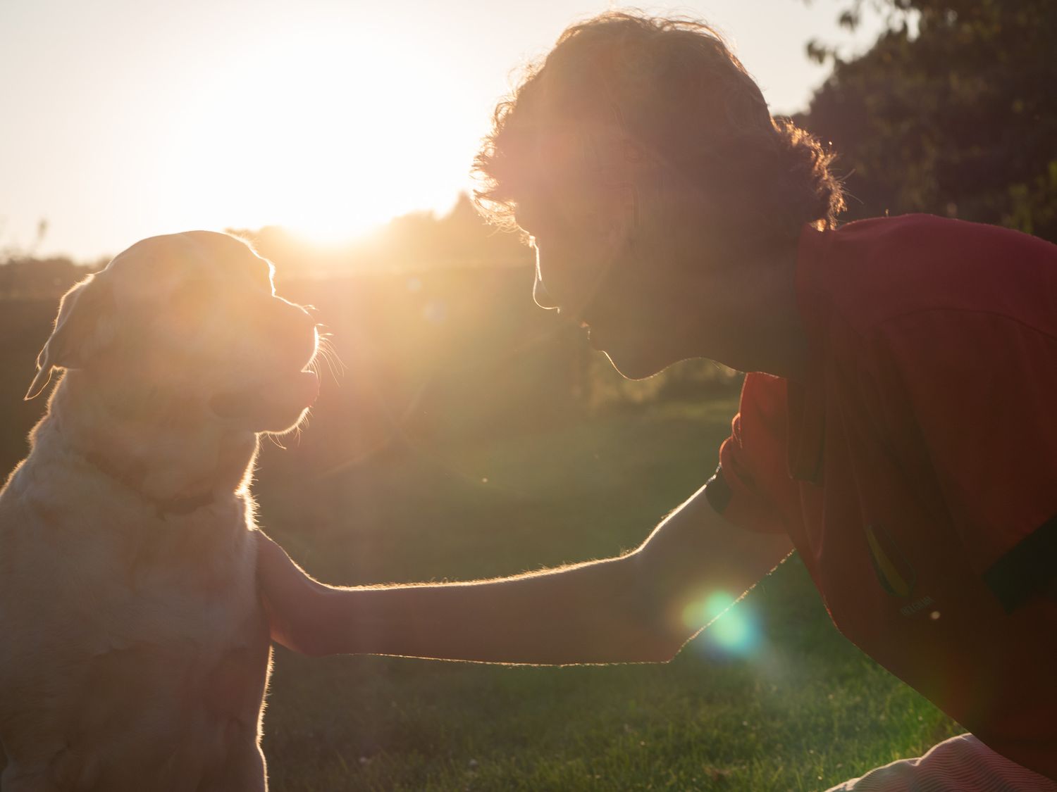 A young man and Labrador retriever in backlight with ray of sunshine between them in a loving moment.