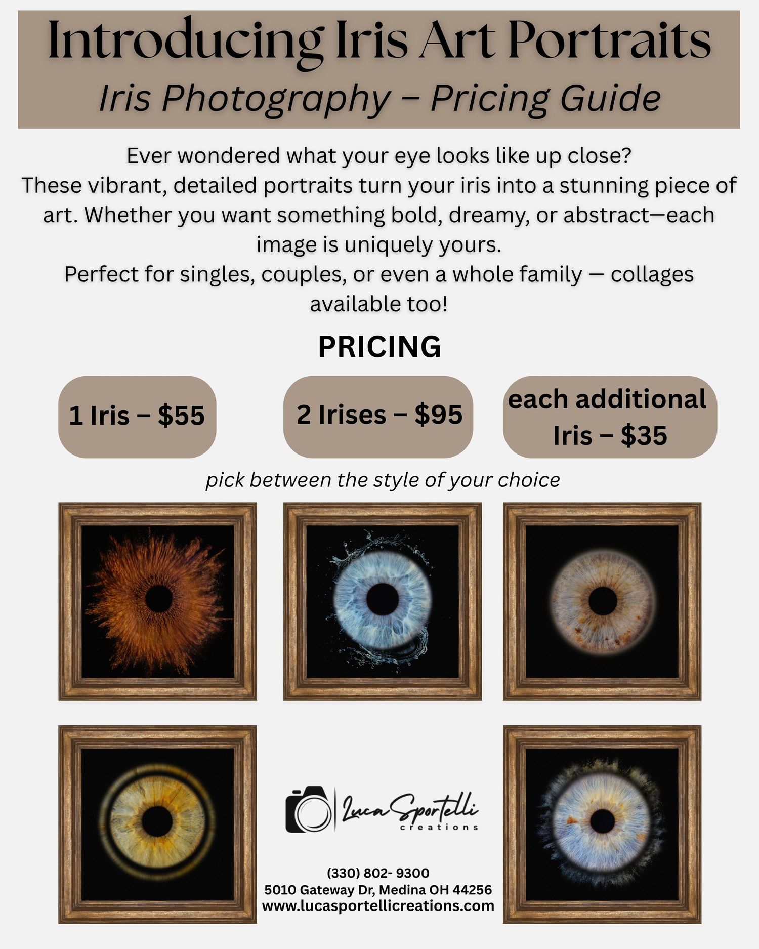 Pricing guide for Iris Art Portraits showing different iris photography options and costs.