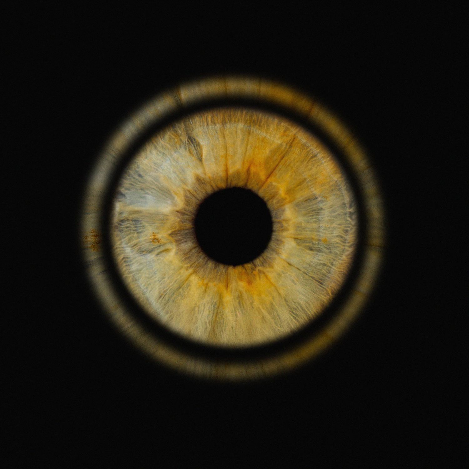 Close-up macro photograph of a golden brown human iris with detailed texture against black background.
