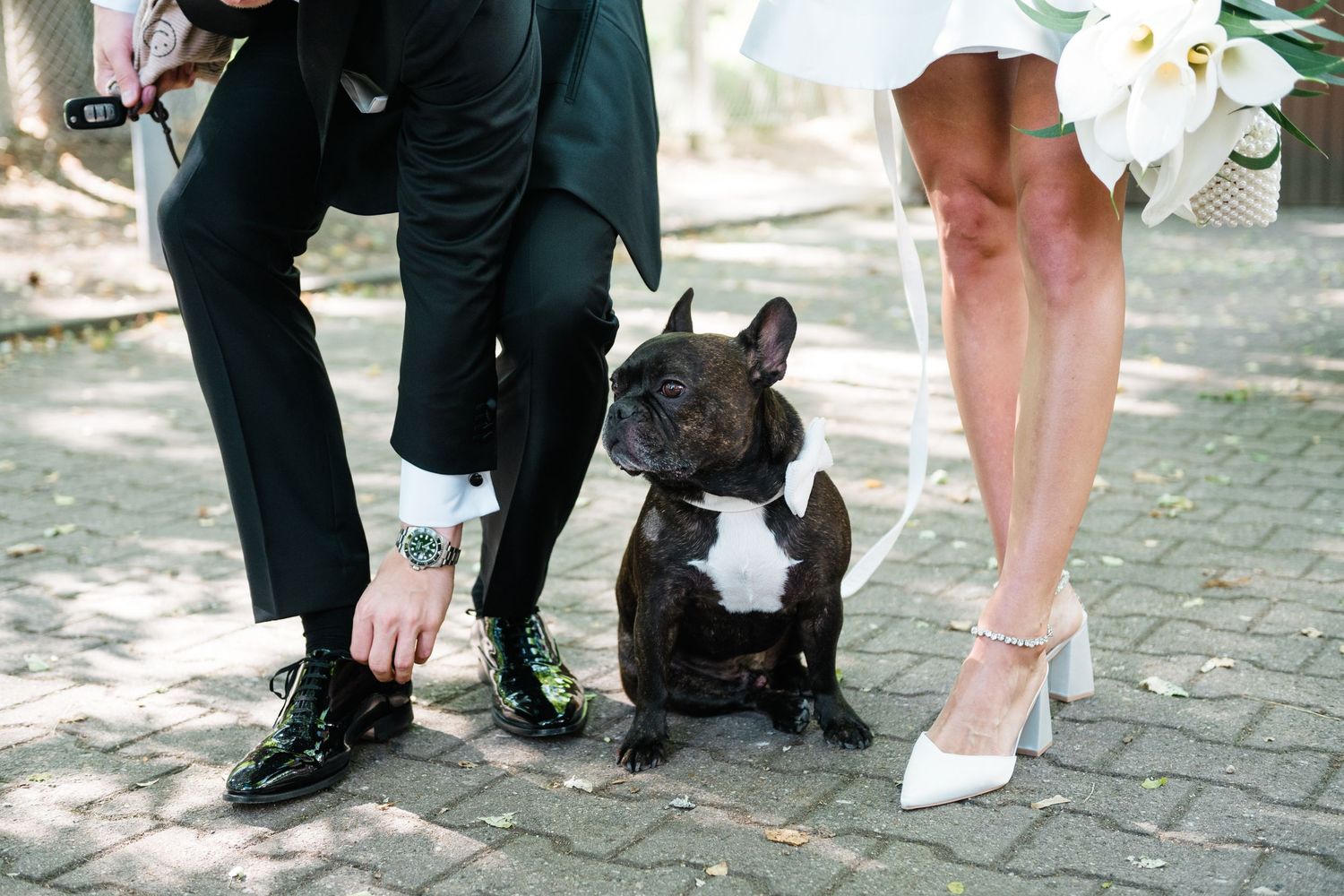 Beine eines Hochzeitspaars mit Hund