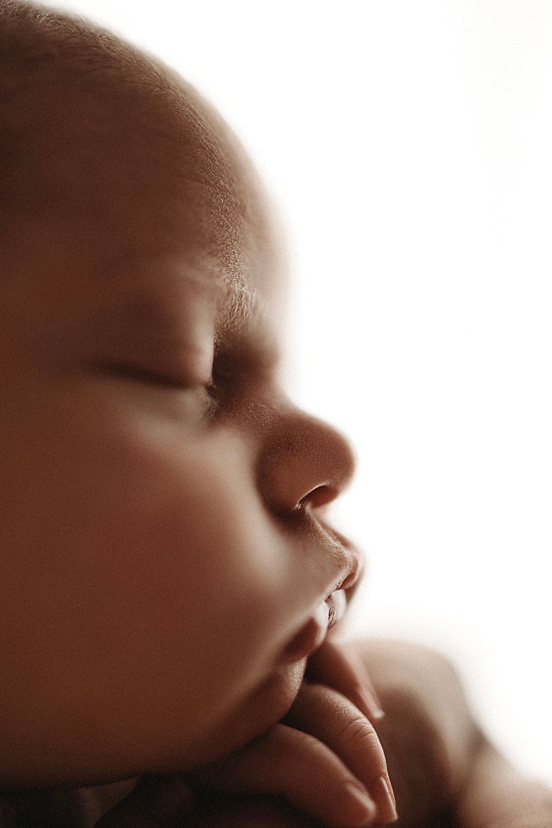 newborn baby snuggled in dads hands in geelong photographer studio macro tiny features details