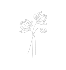Simple line drawing of two minimalist flowers with stems and leaves in a delicate style.