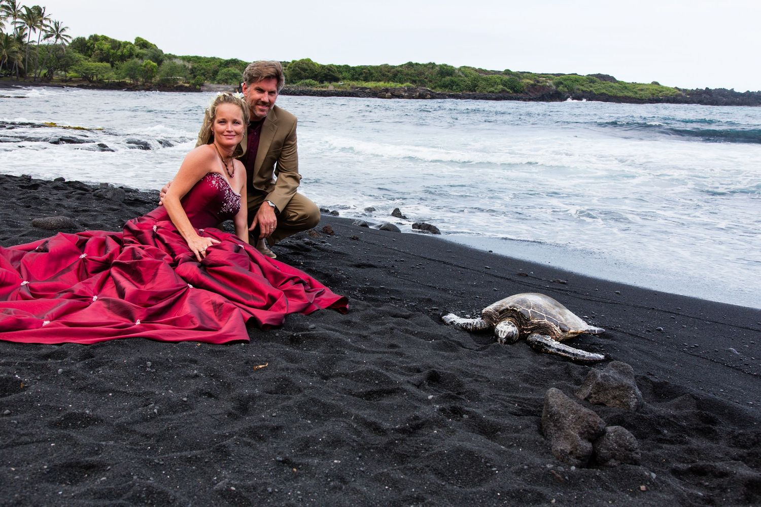 A couple poses on a black sand beach with a sea turtle resting nearby at Punaluu Beach in the Big Island of Hawaii.