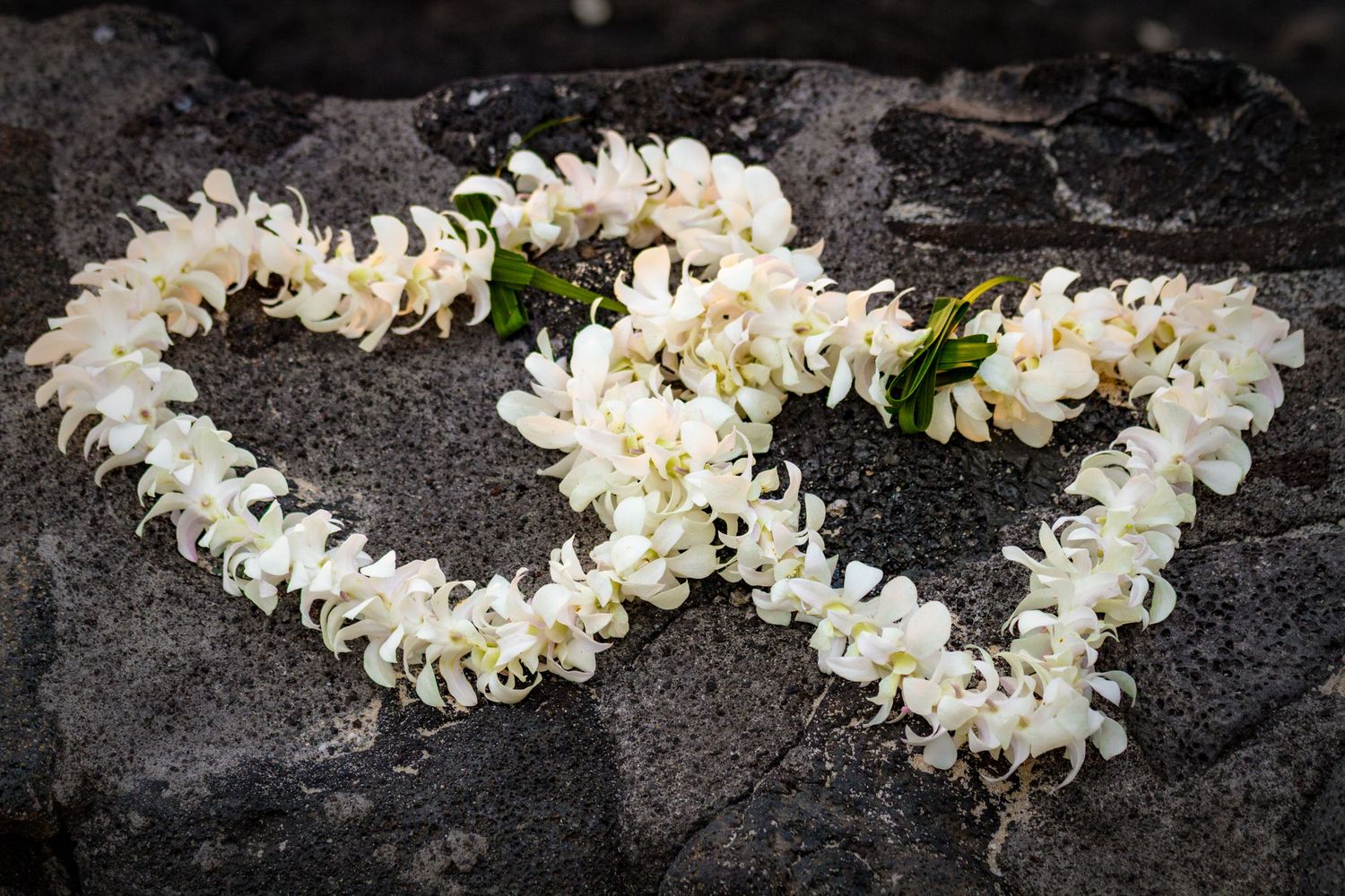 Two white Hawaiian plumeria flower leis arranged in heart shapes on dark lava rock.