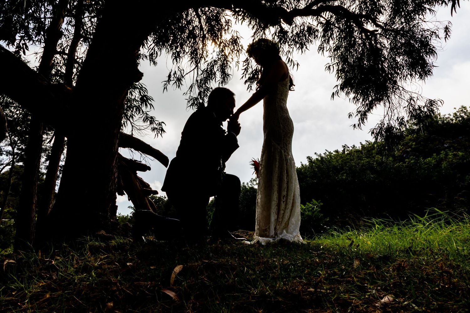 Silhouette of romantic proposal under trees with sunlight filtering through branches at Anna Ranch Heritage Center in Waimea, Big Island.