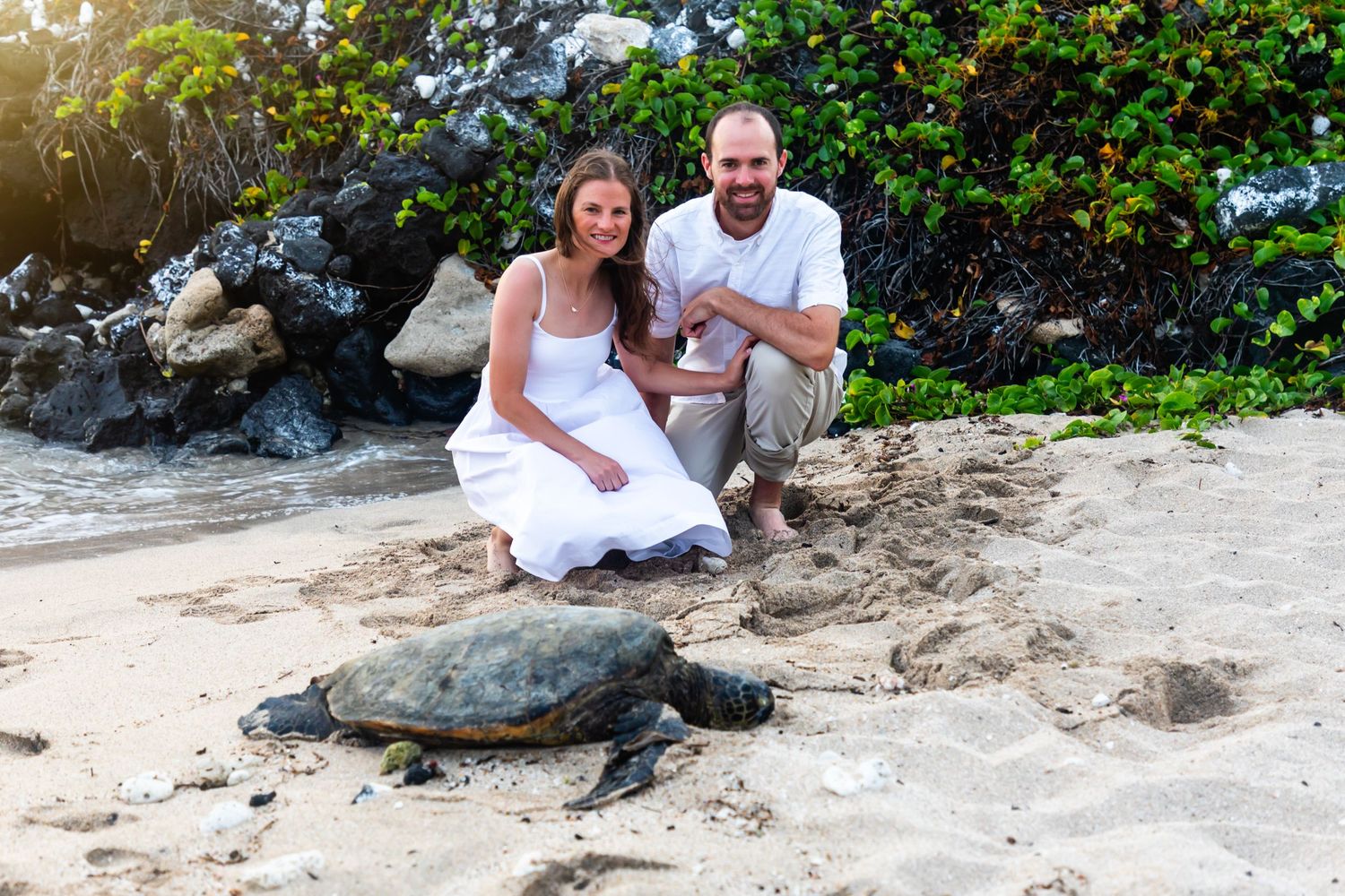 A couple sits on a beach with a large sea turtle near the shoreline after engagement session at Kukio beach in Kailua Kona.