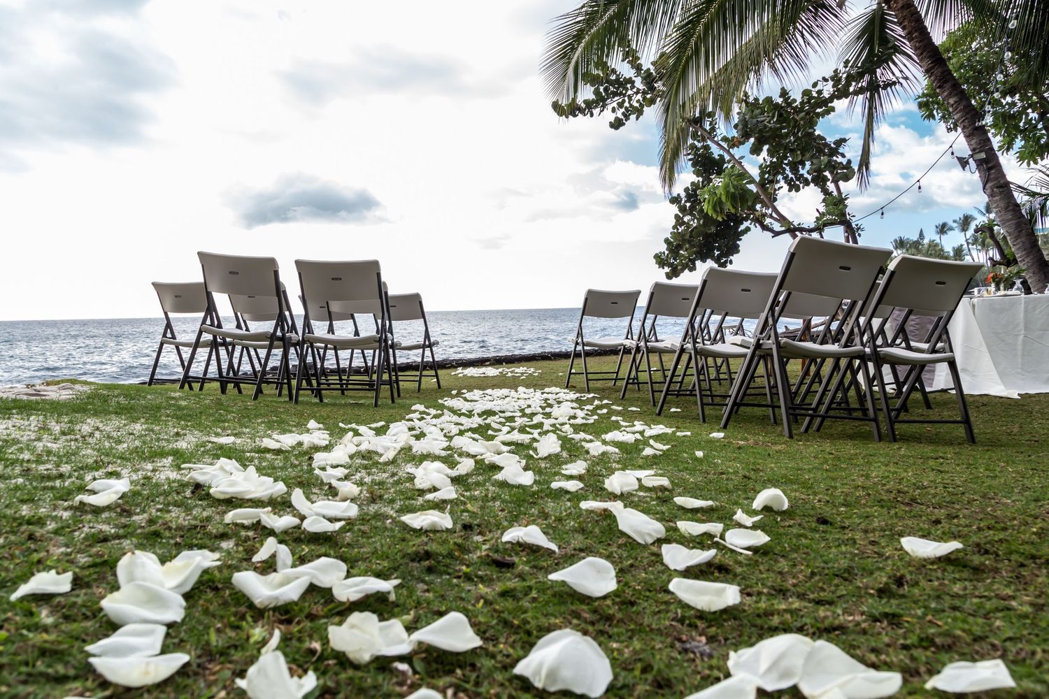 White chairs and flower petals arranged for an outdoor beach wedding ceremony with palm trees and ocean view in Kona, hawaii
