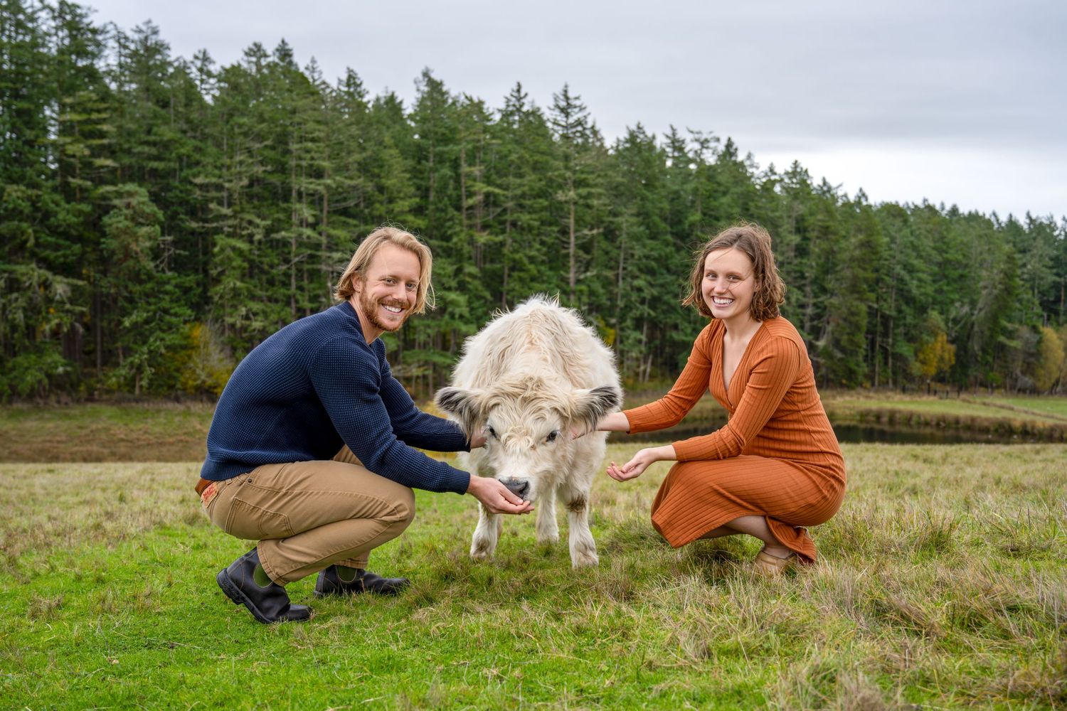 Two people crouched next to white fluffy cow in green pasture with pine trees.