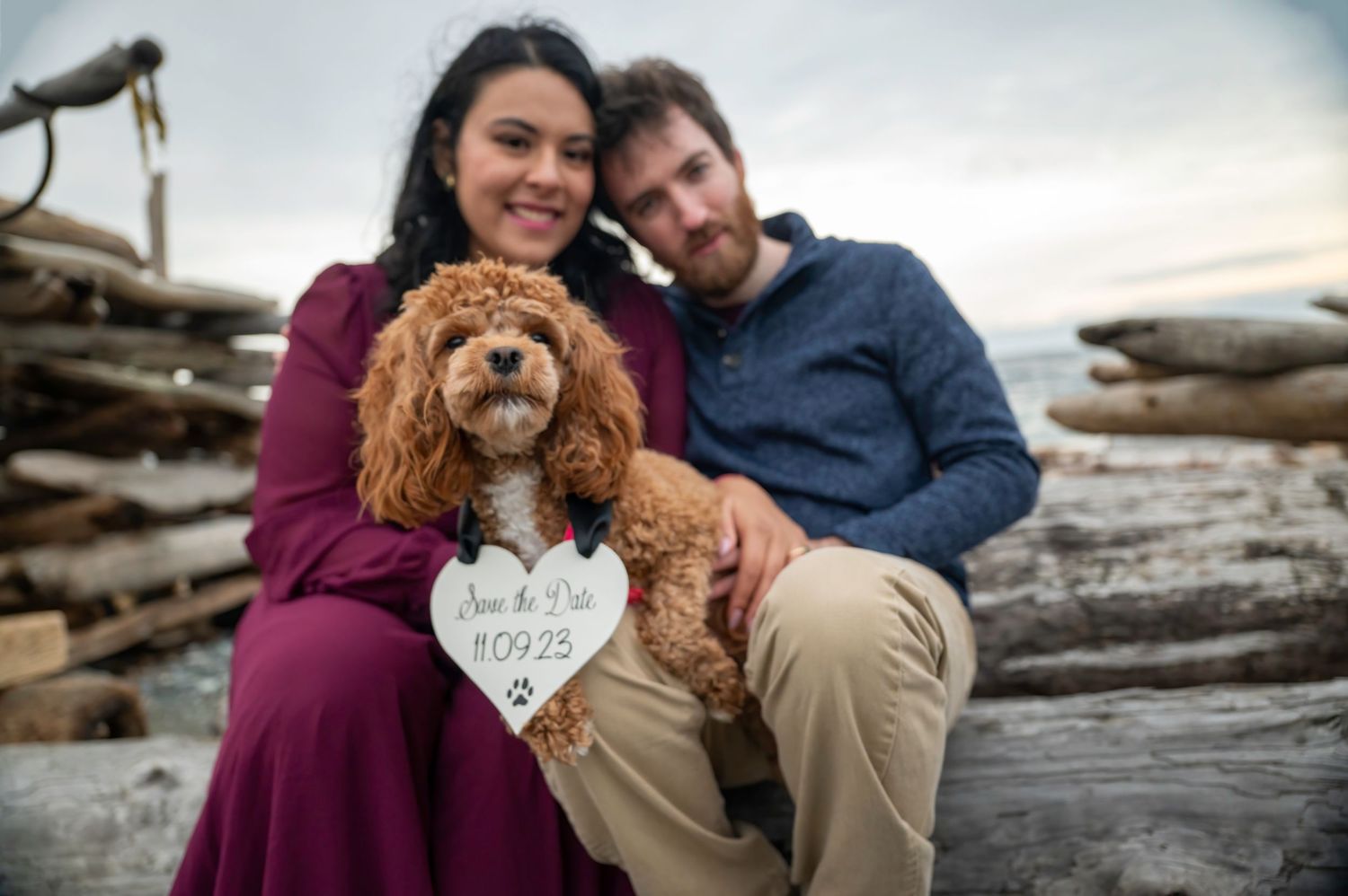 Couple poses with their goldendoodle dog holding 'She Said Yes' sign on driftwood beach.