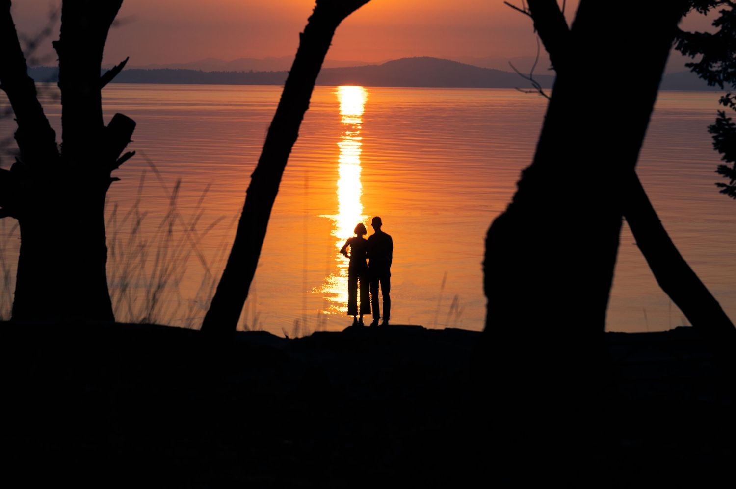 Silhouette of a couple standing together watching sunset through trees by the water.
