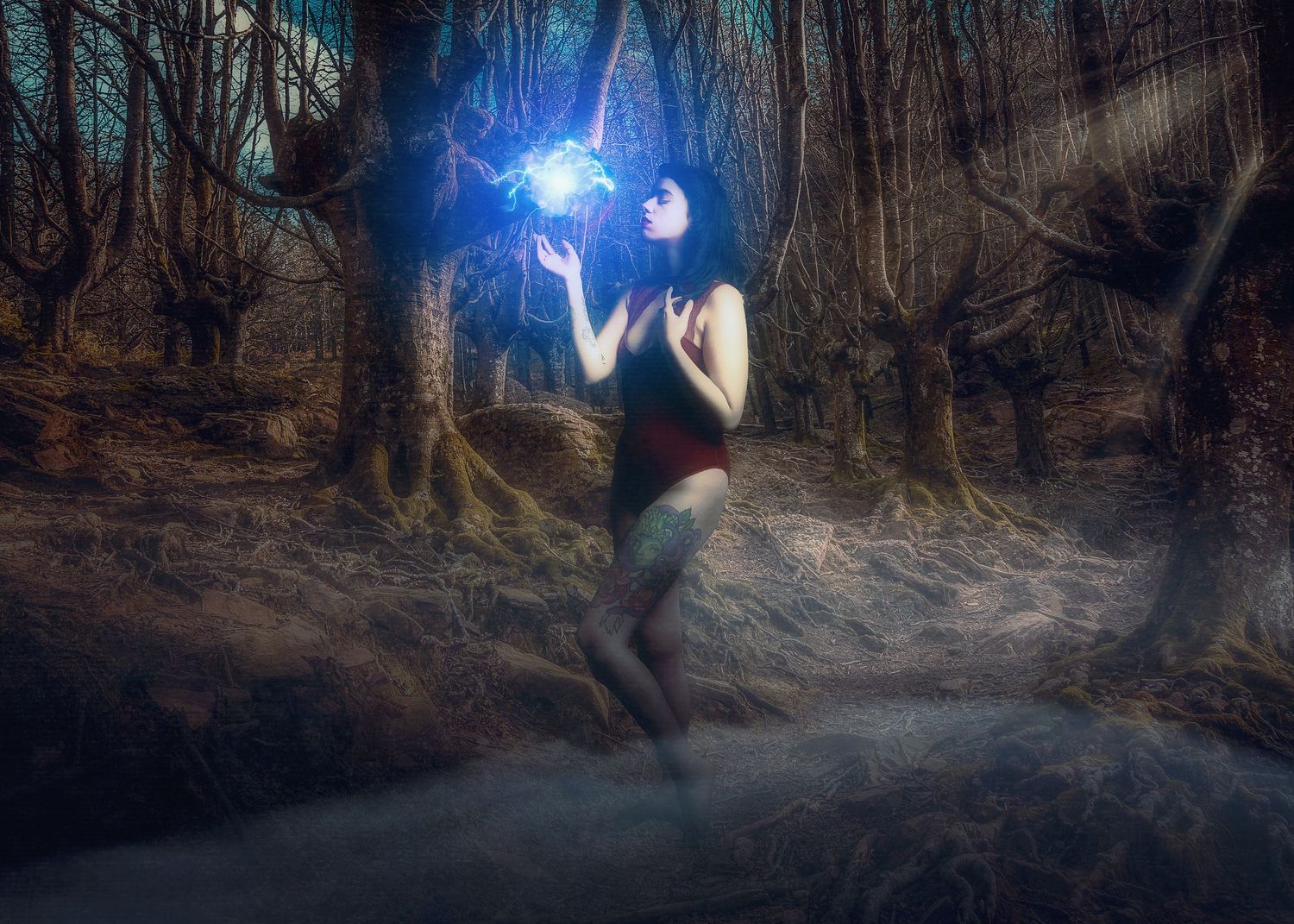 Mystical forest scene with glowing blue orbs and fog effects.
