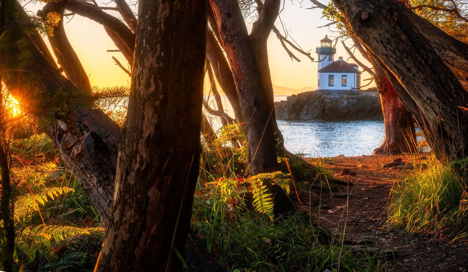 A lighthouse viewed through a natural frame of trees at golden hour with sunlit foliage.