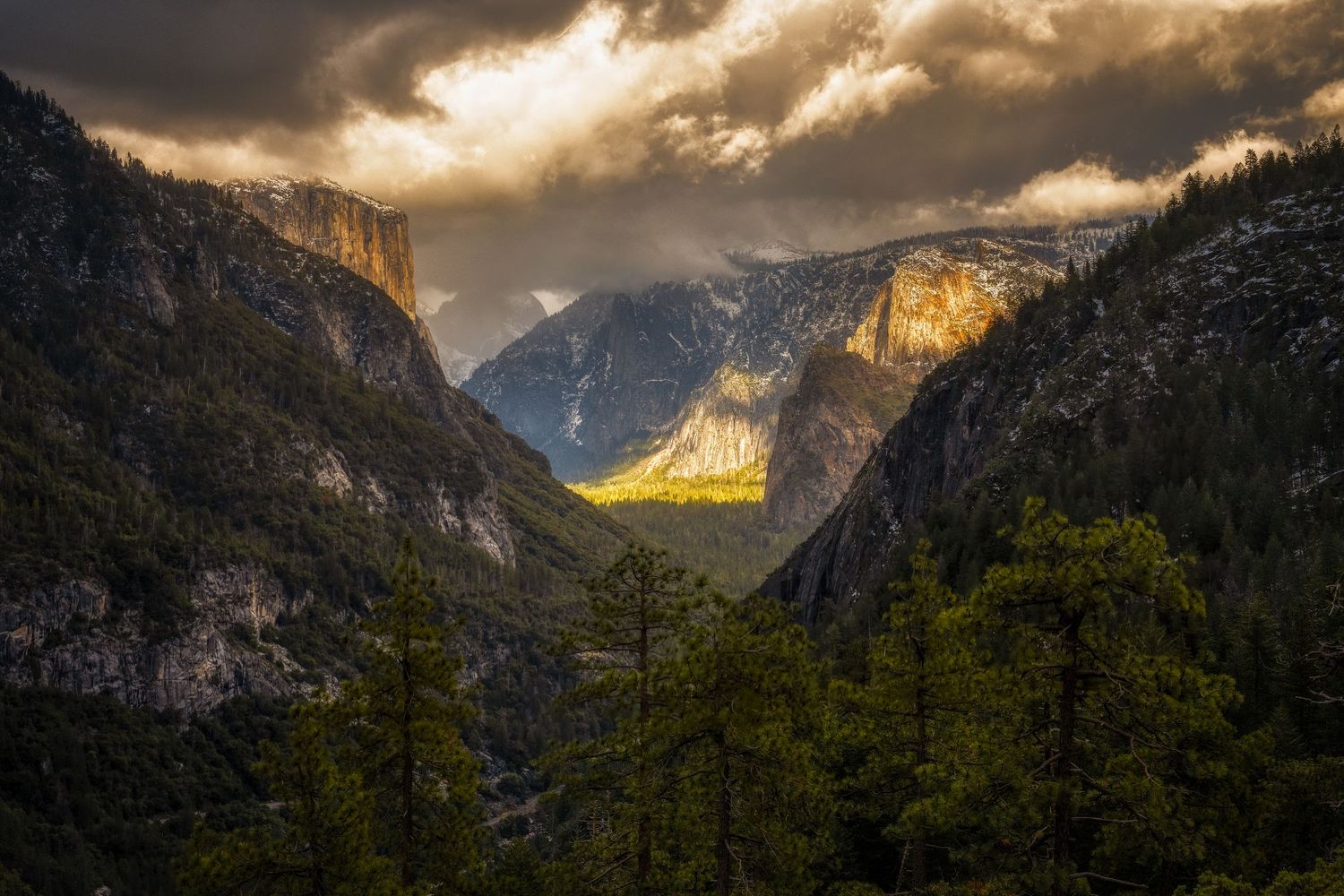 Golden light bathes Yosemite Valley's granite cliffs as storm clouds part overhead.