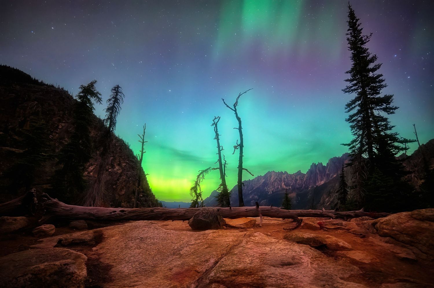 Colorful aurora borealis illuminates mountain landscape with dead trees against night sky.