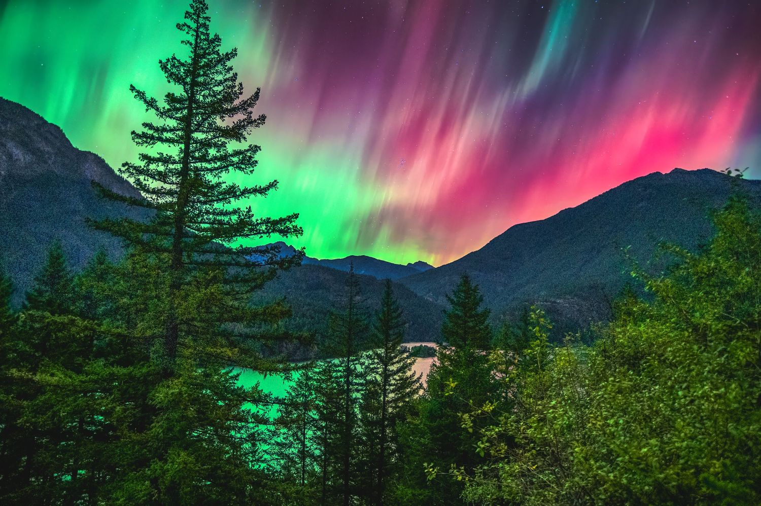 Vibrant aurora borealis lights up the night sky with green and purple hues over a mountain landscape with evergreen trees.